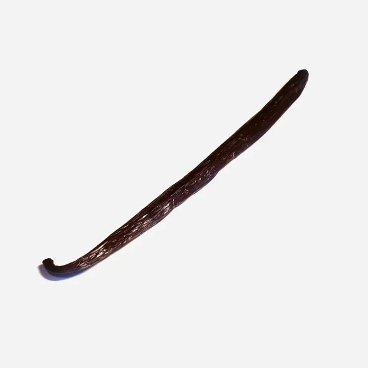 Bourbon Vanilleschote BIO