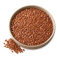 Leinsamen